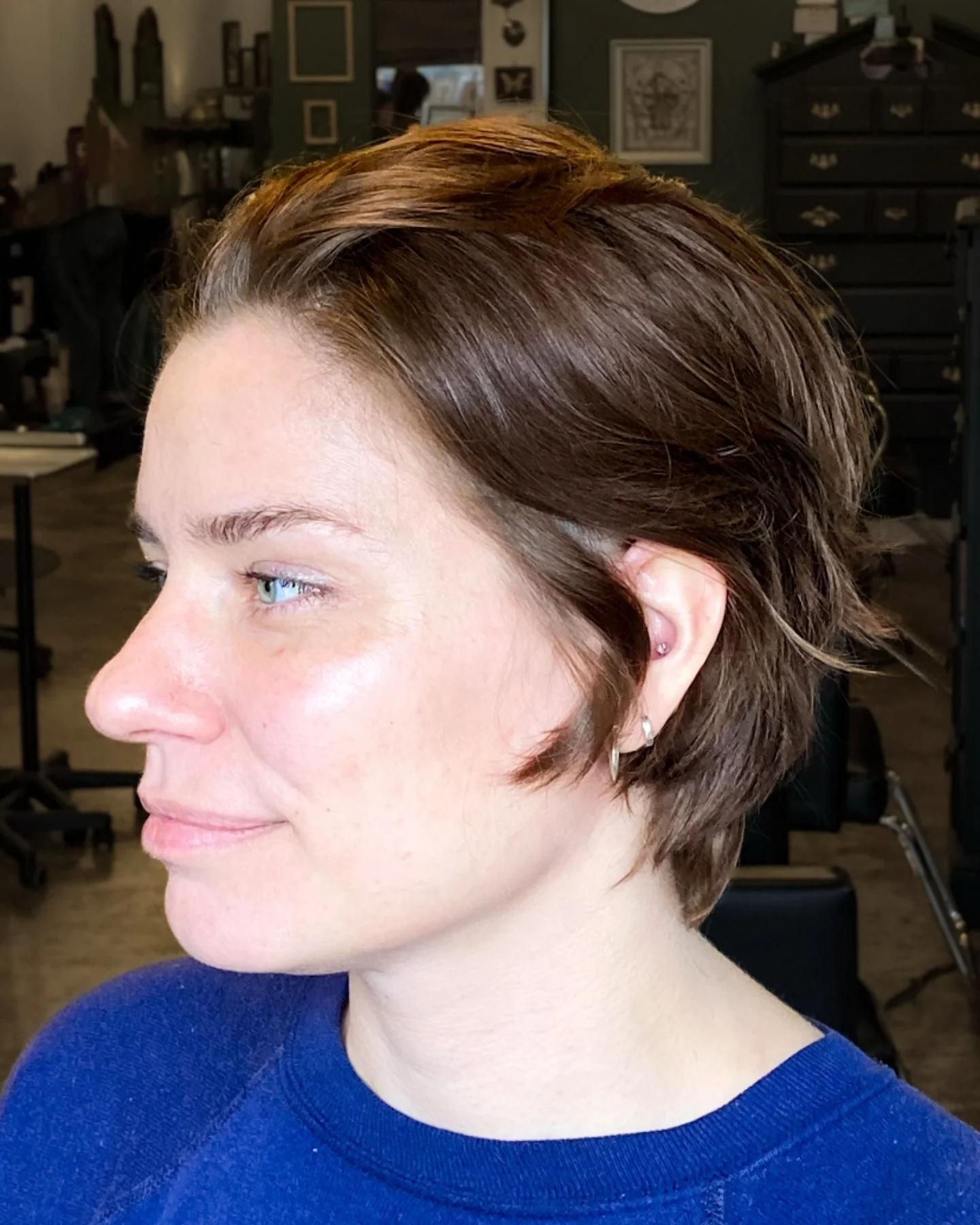10. Moderner Pixie-Bob mit sanftem Kastanienbraun (Pixie-Bob-Frisuren)