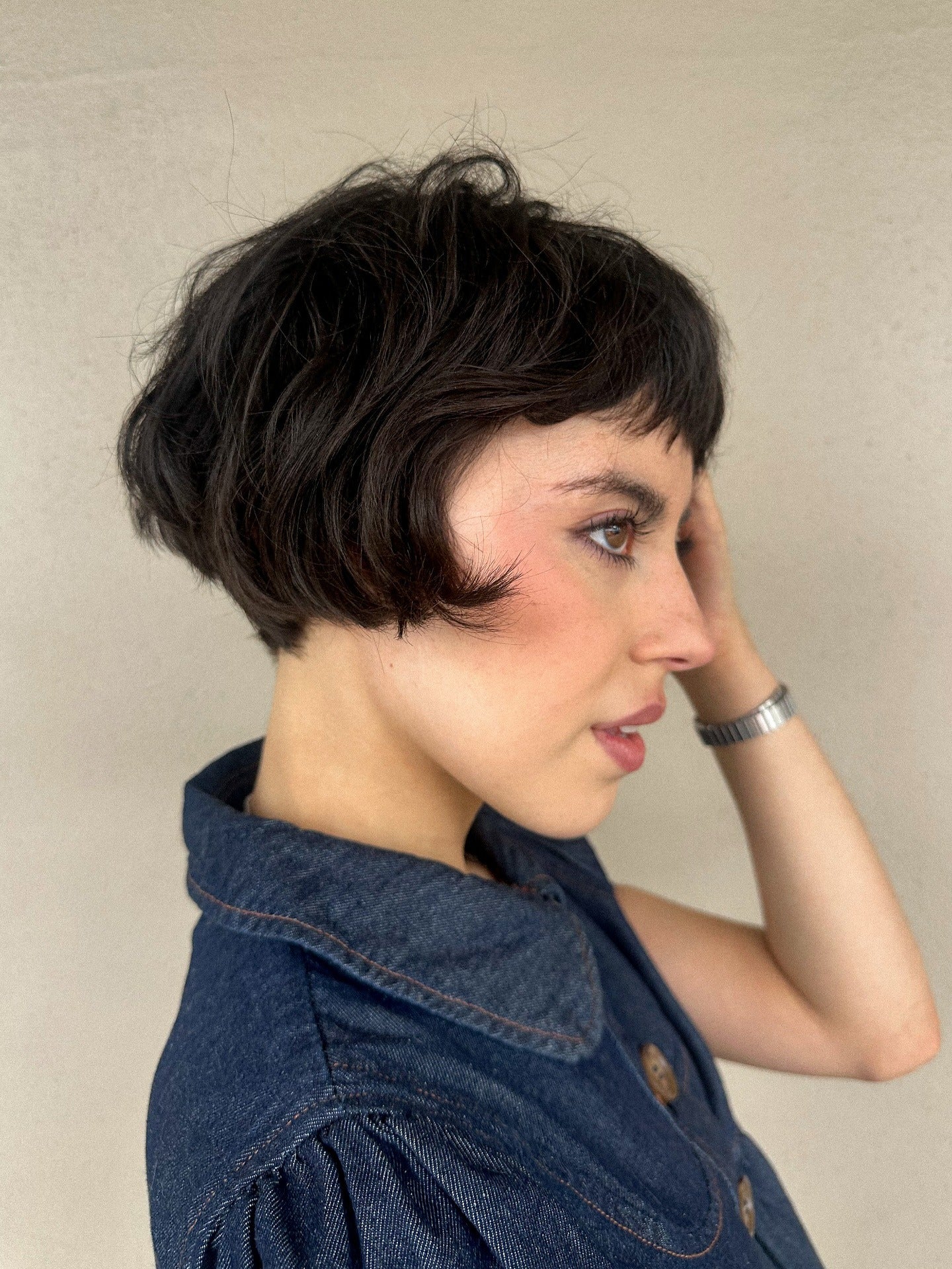 10. Pixie-Bob mit Baby-Pony (ohrlanger Bob)