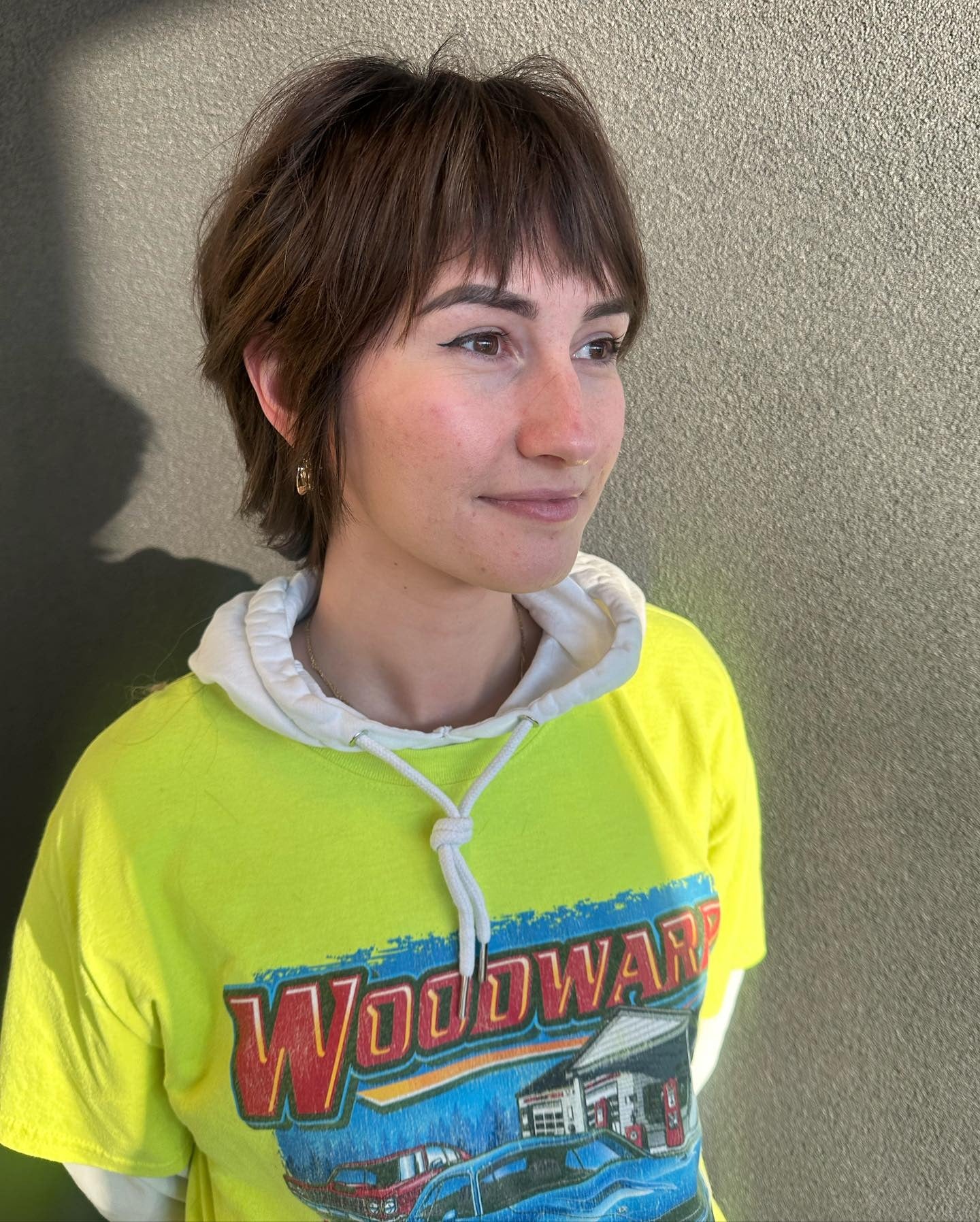 11. Soft Chestnut Layered Pixie (zottelige Pixie-Frisuren)