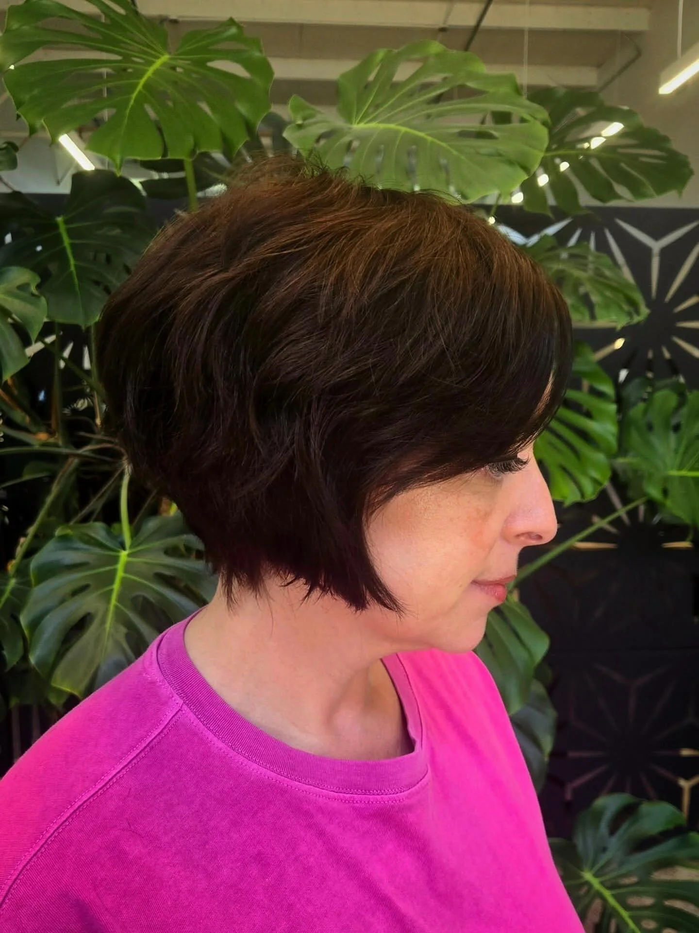 13. Abgerundeter Pixie-Bob mit natürlichem Schokoladenbraun (Pixie-Bob-Haarschnitte)