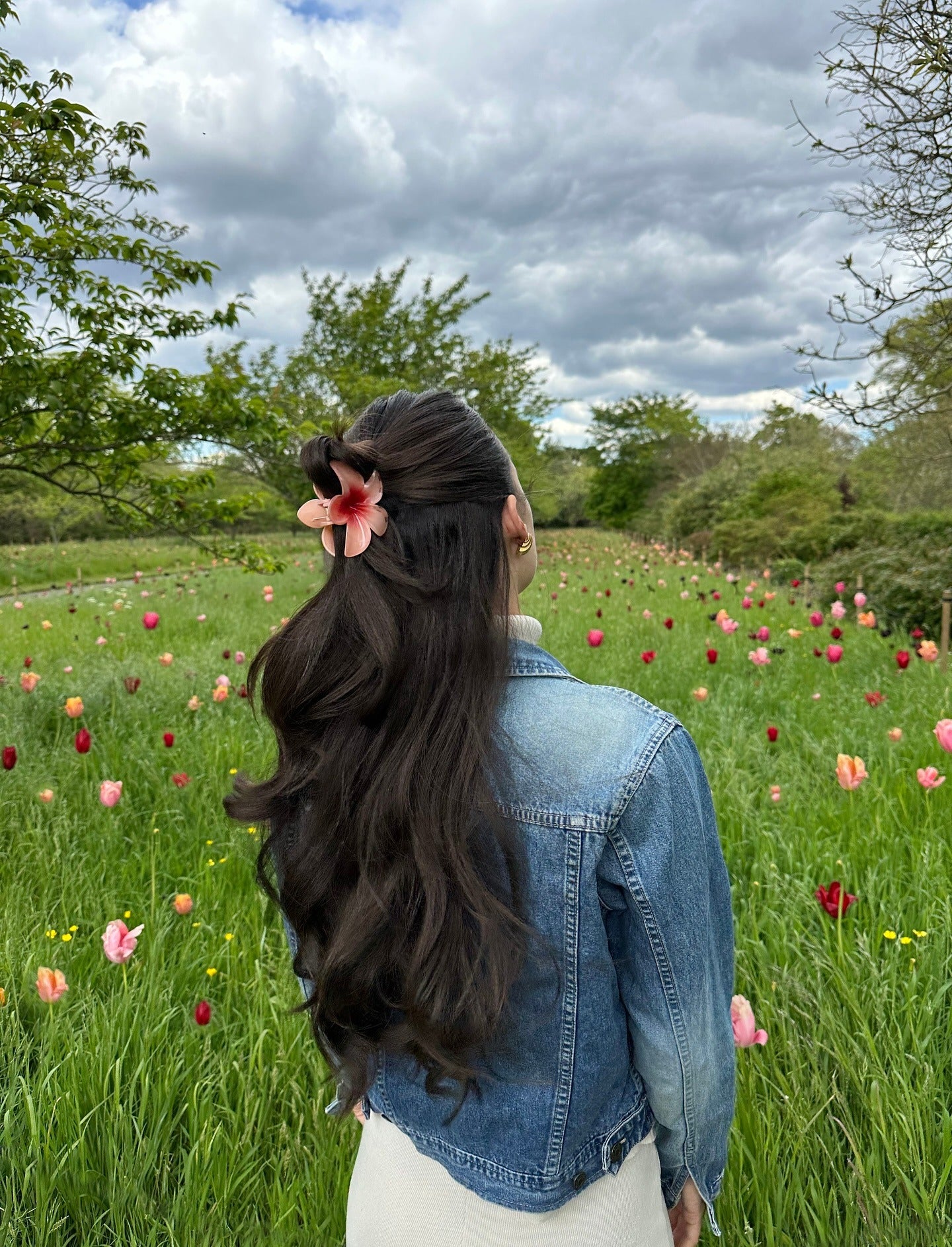 2. halbe lange Wellen mit Korallenblütenclip (Klauenclip-Frisuren)