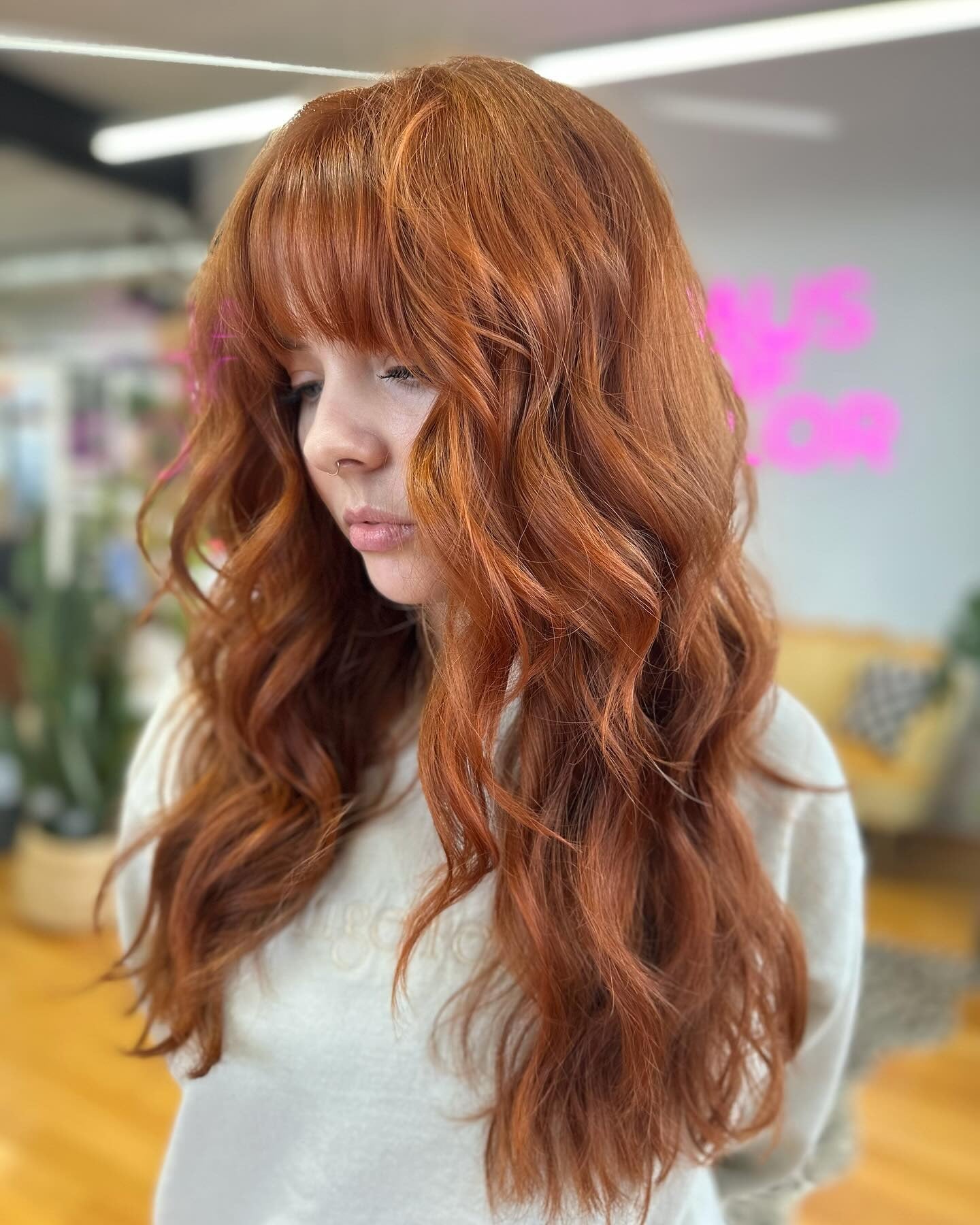 2. Langes Zimtcolls mit Vollkingel (Zimthaarfarbe)