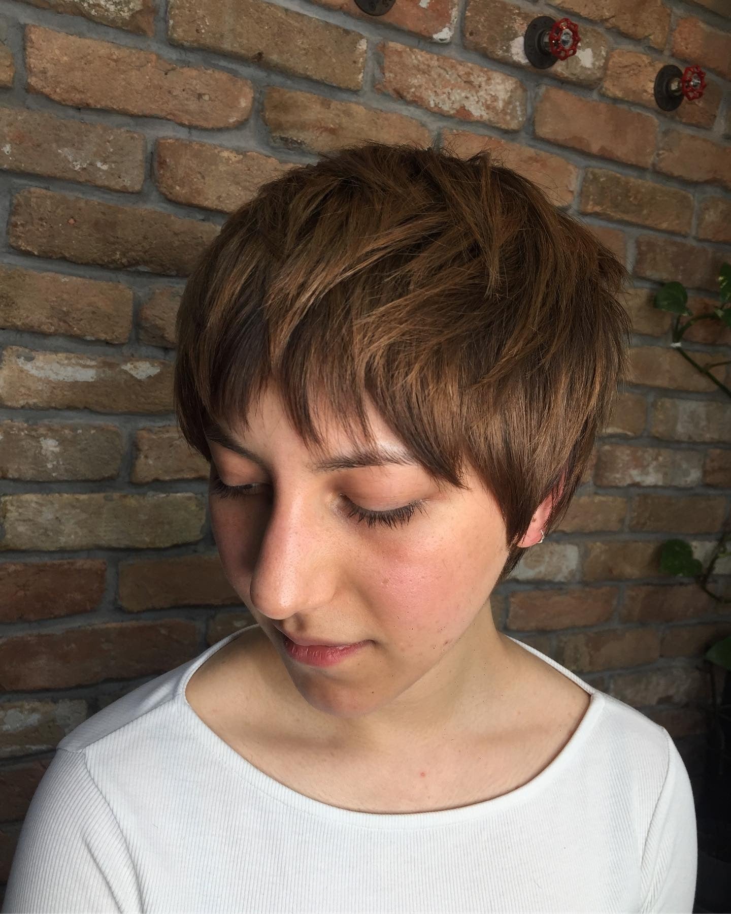2. Weiche Walnuss -Shag -Pixie (Shaggy Pixie Haircut)