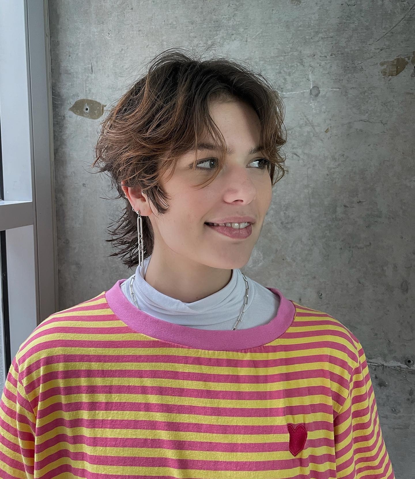 3. Honigbraune Meeräsche-Wolf-Mischung (kurzer Wolfshaarschnitt)