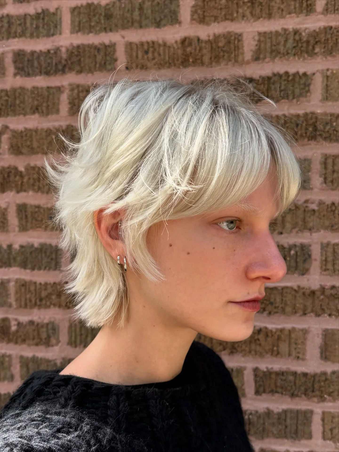 3. Icy Platinum Wolf Shag (kurzer Wolfsschnitt)