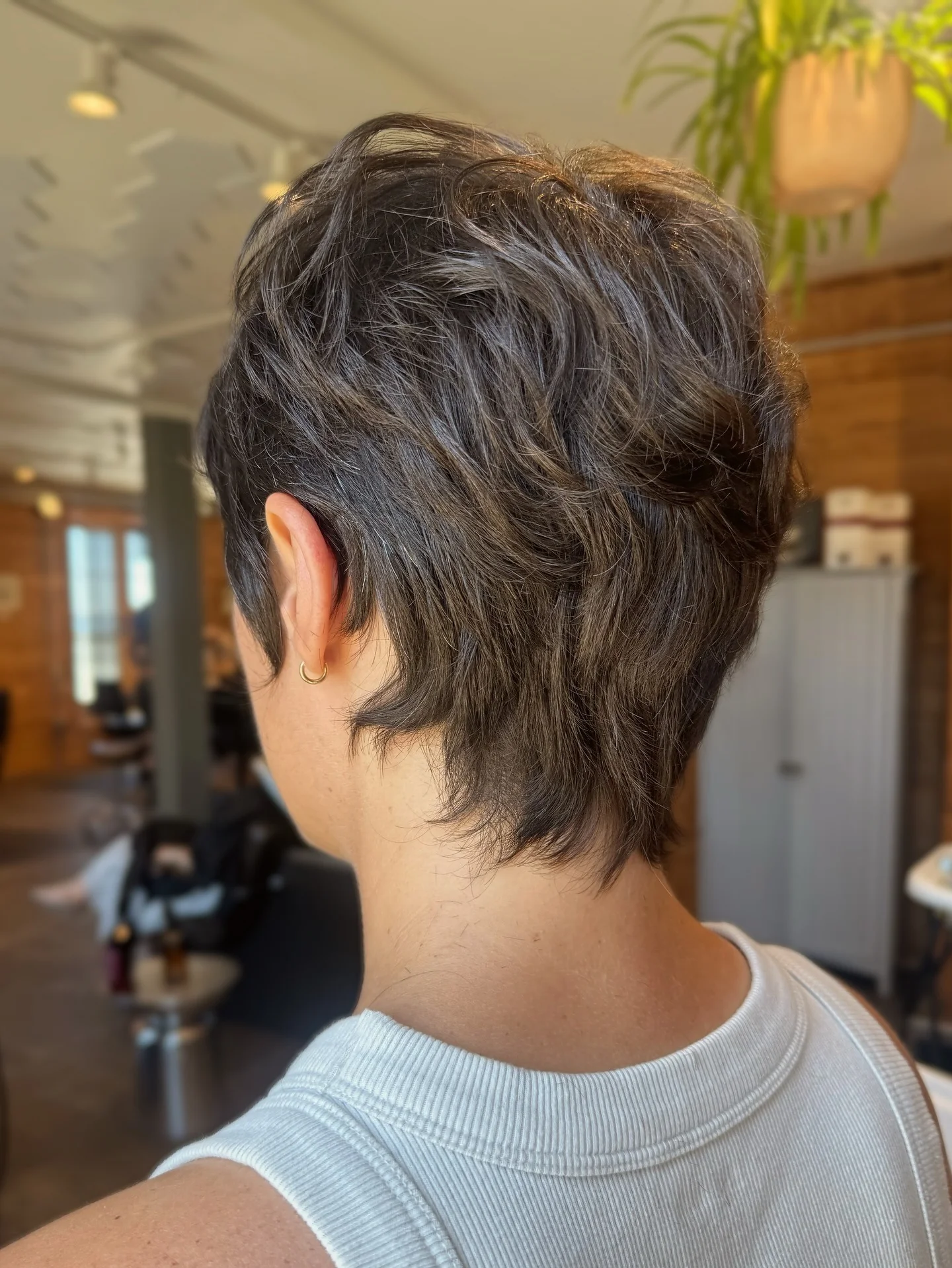 3. Layered Ash Brunette Shag Pixie (Layered Pixie-Haarschnitte)