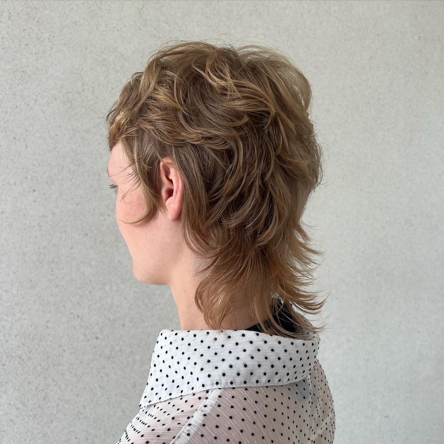 5. Aschebraun gefiederte Shag -Meeräsche (Shaggy Mullet Haircut)