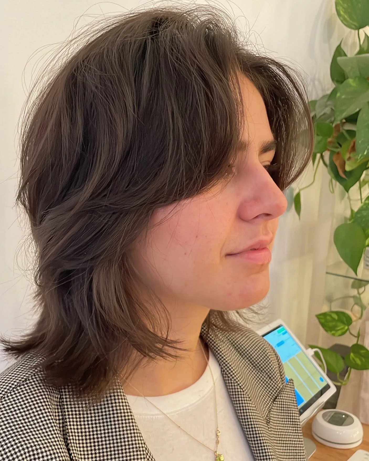 6. Klassischer Brunette-Wolf-Schnitt (Wolf-Haarschnitt)