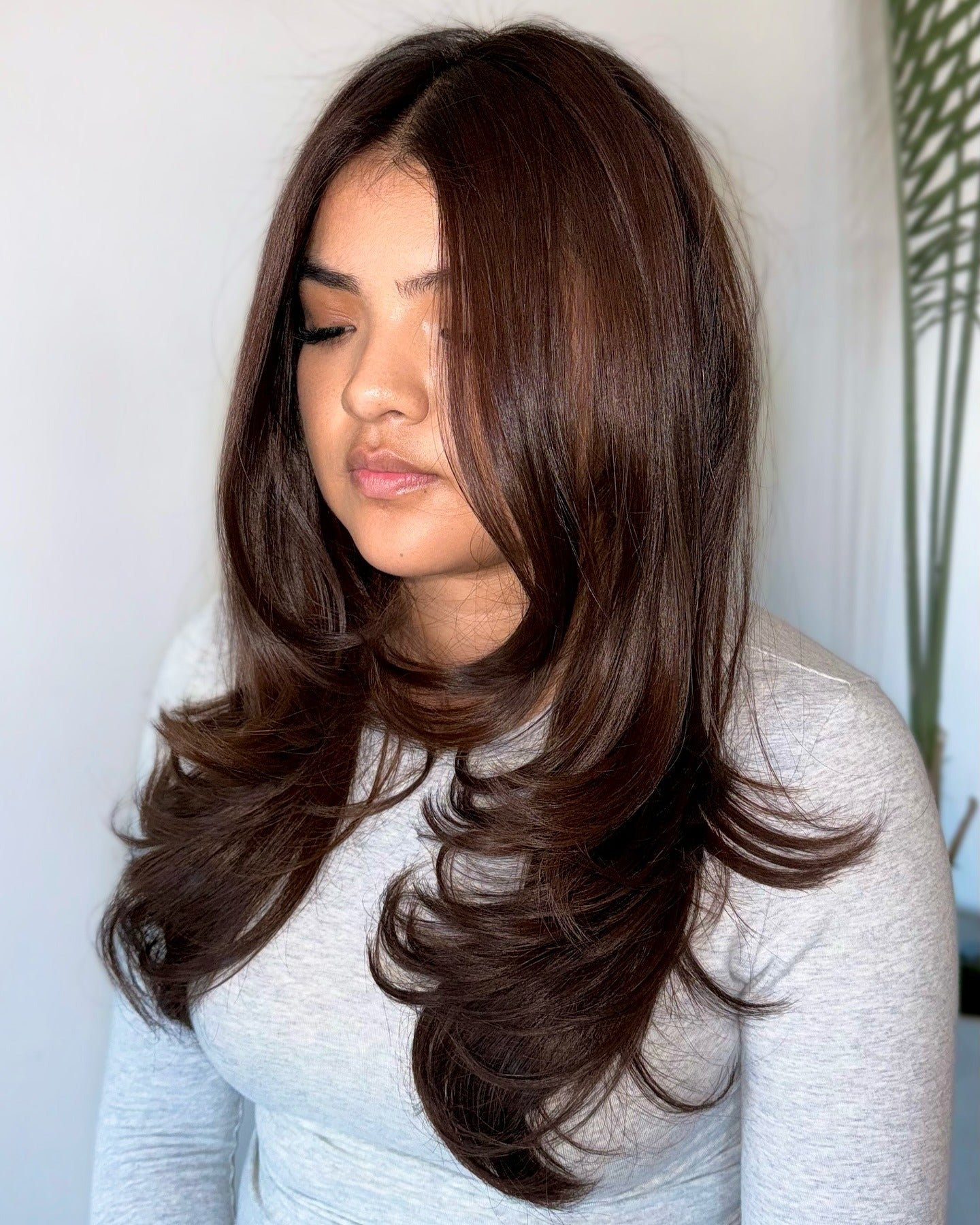 6. Federned Cocoa -Schichten (braune Haarfarbe)