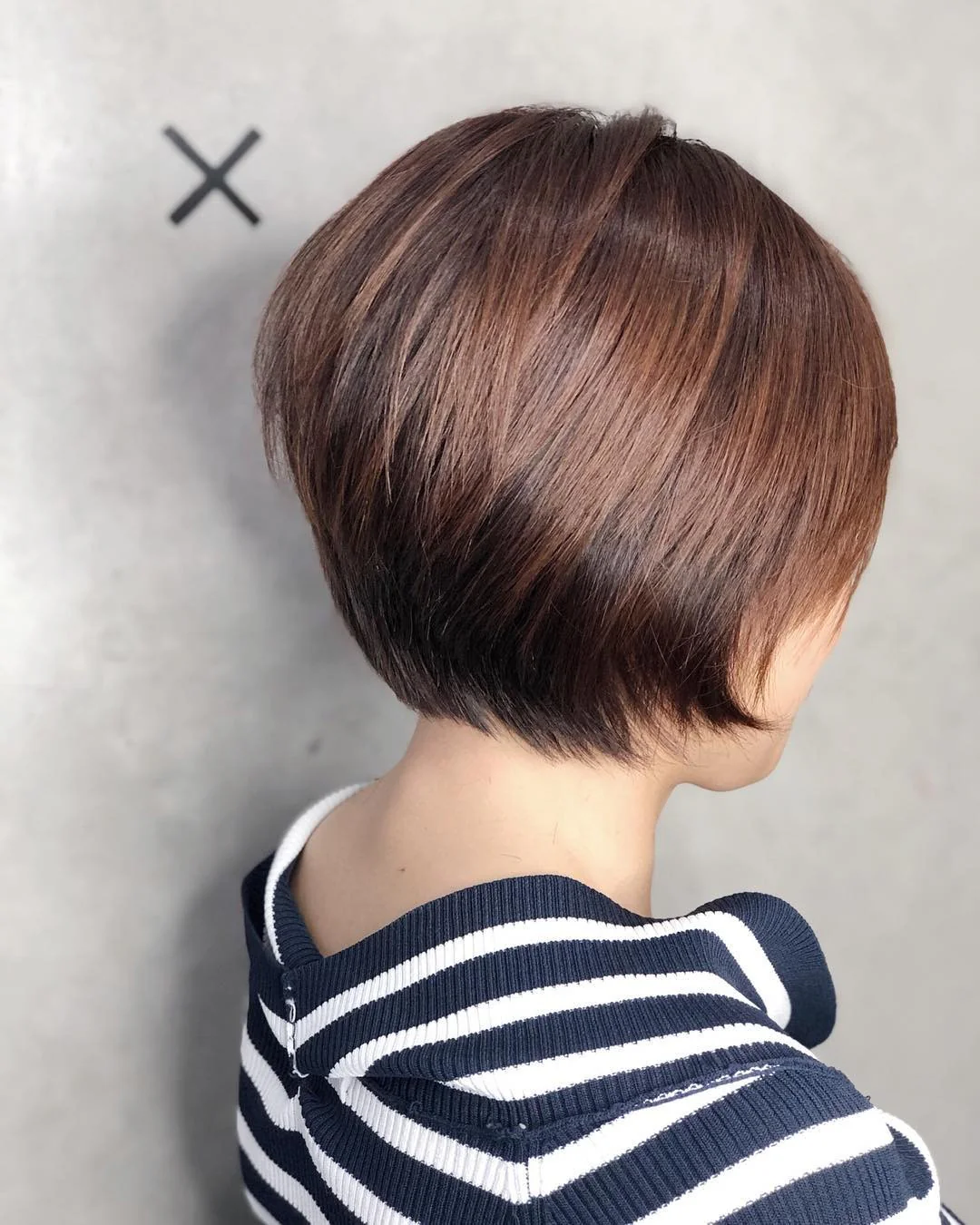 7. Kastanienbrauner, schlanker Pixie-Bob (Pixie-Bob-Haarschnitt)