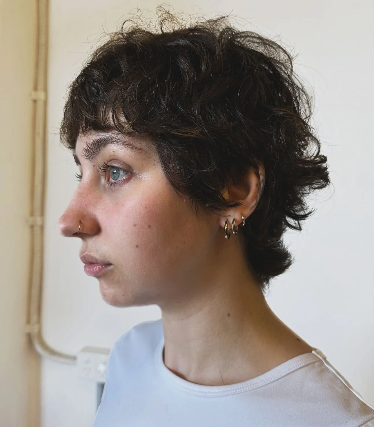 7. Curly Brunette Shag Pixie (Zottige Pixie-Frisuren)