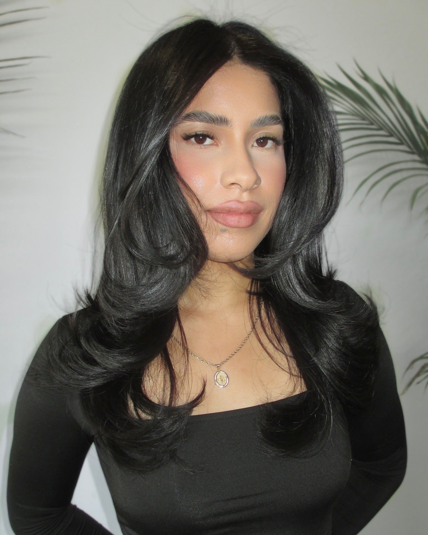 7. Gesichtsfeind weiche schwarze Schichten (weiche schwarze Haarfarbe)