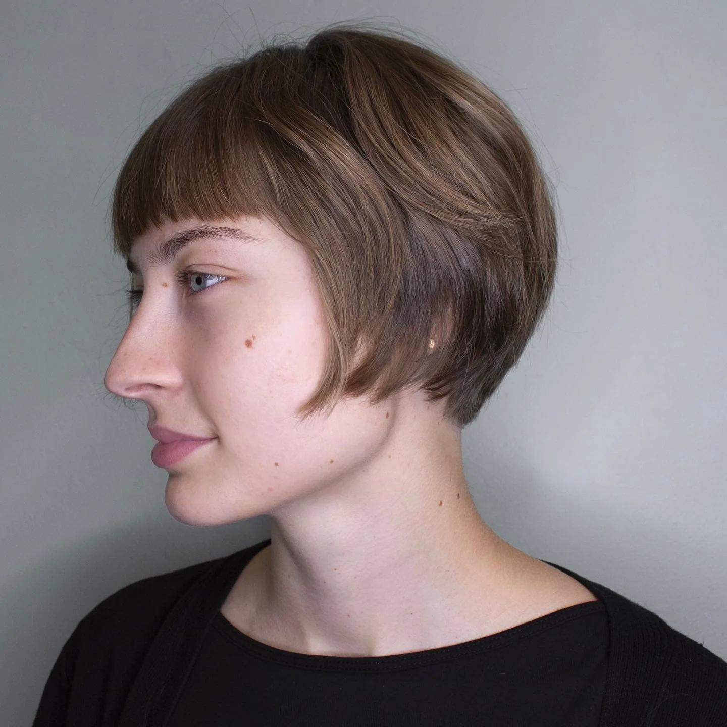 9. Aschbrauner französischer Pixie-Bob mit Mikro-Pony (Pixie-Bob-Haarschnitt)