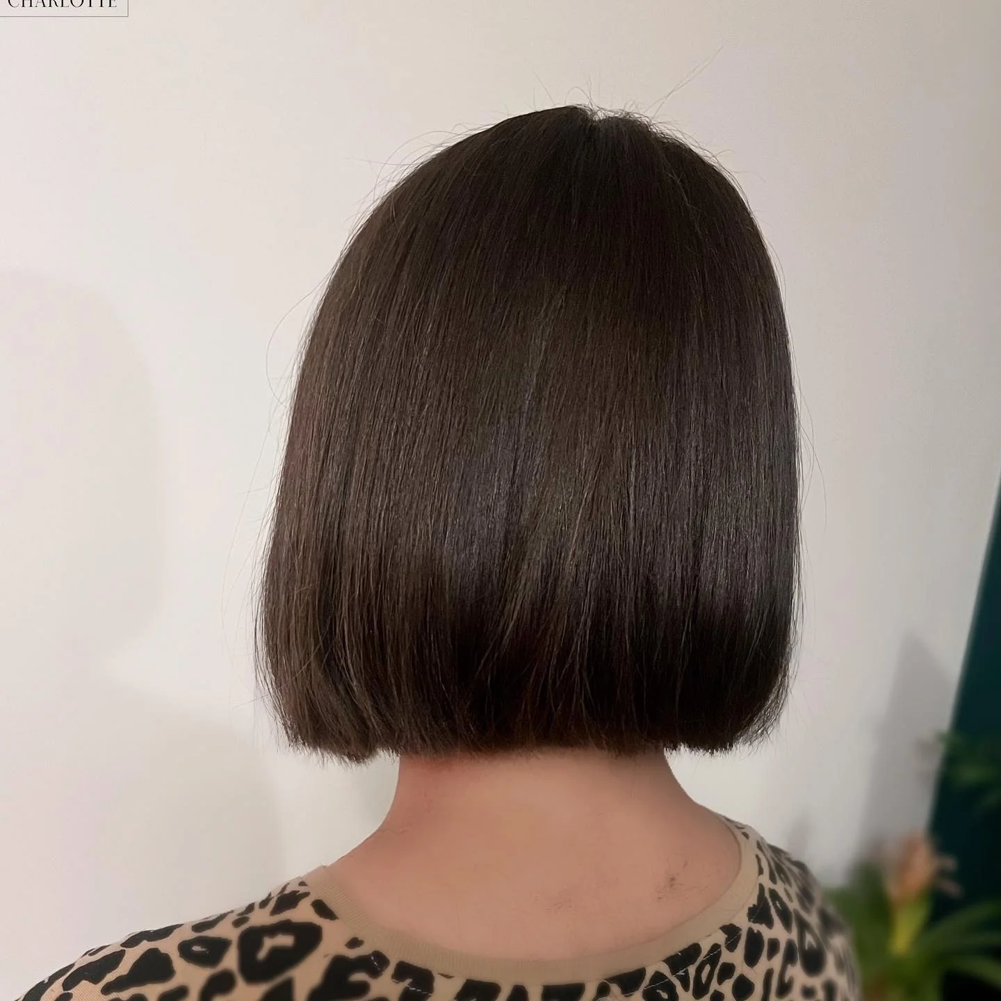 9. Micro Blunt Bob in sattem Espressobraun (Blunt Bob Frisuren)