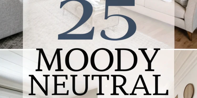 25 launische neutrale Wohnzimmer, die mühelose Ruhe ausstrahlen