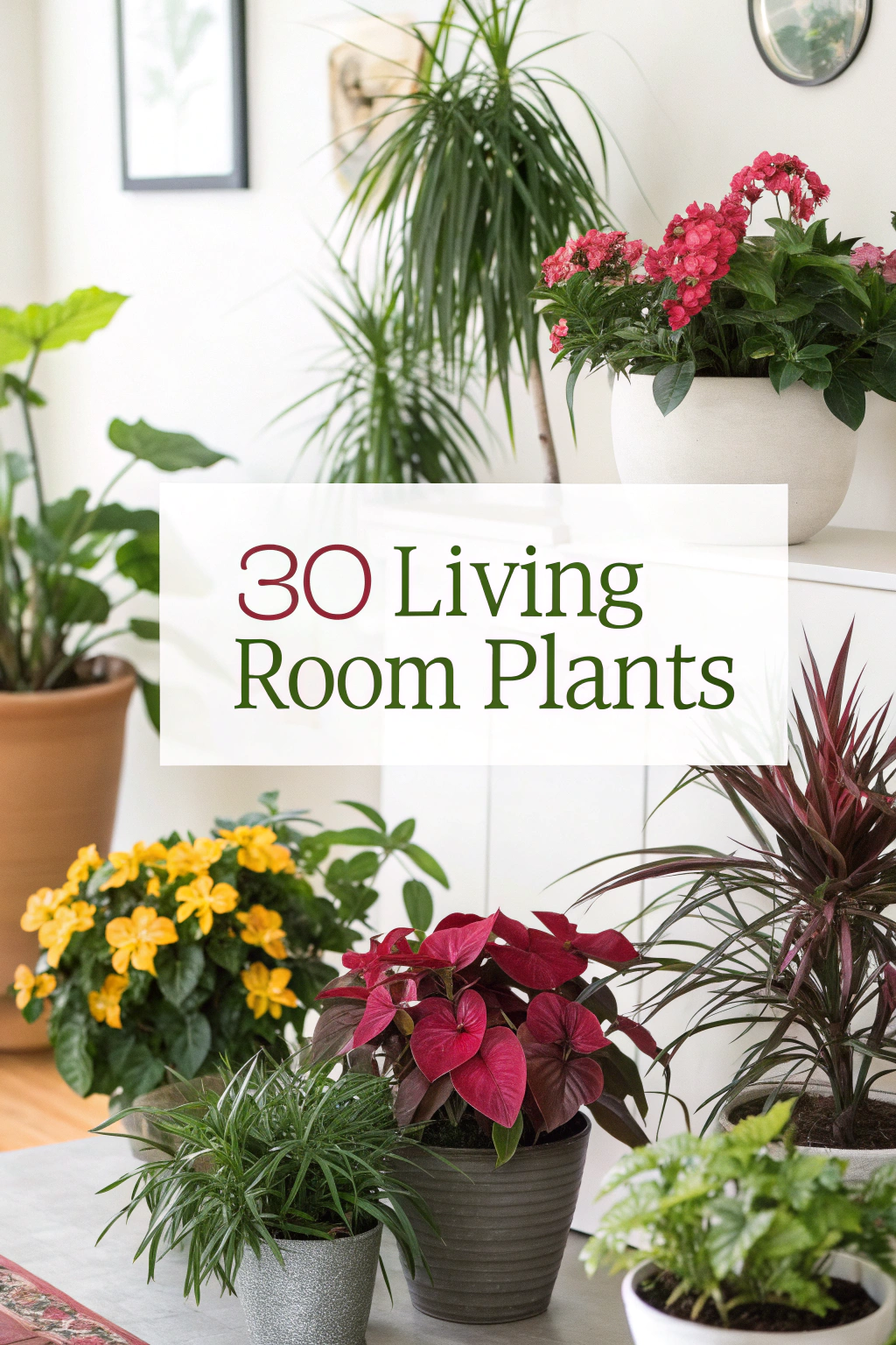 30 Wohnzimmerpflanzen