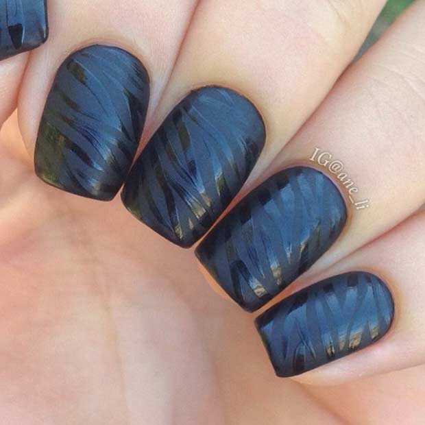 Schwarze matte und glänzende Zebrasägel