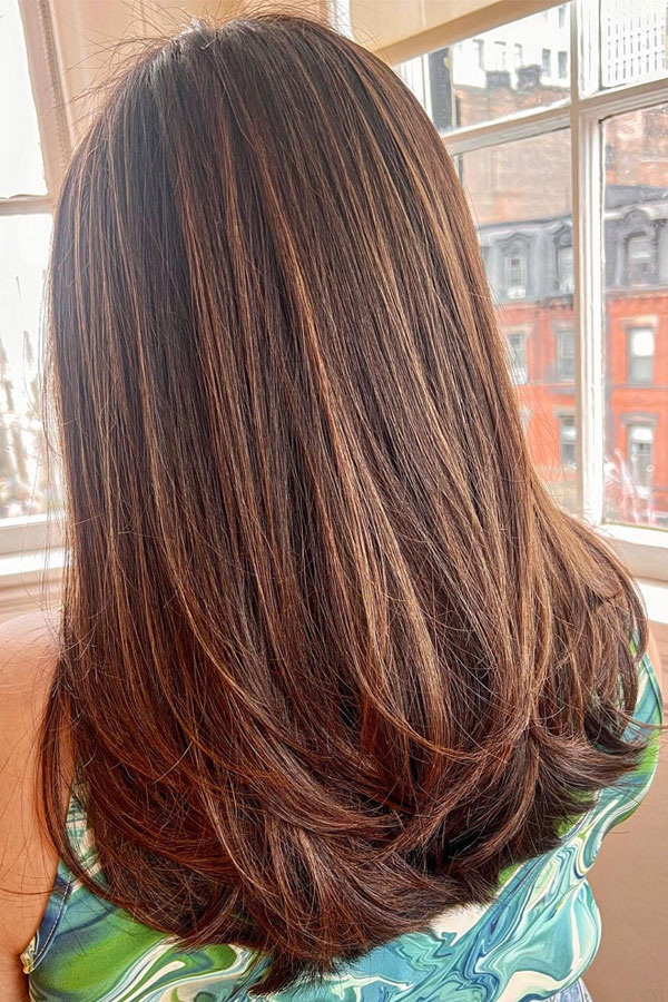 Honigblonde Kastanie, Kastanienhaarfarbe