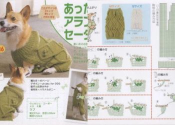 Süße gehäkelte Hundekleidung: handgemachter Stil, Komfort-Inspiration