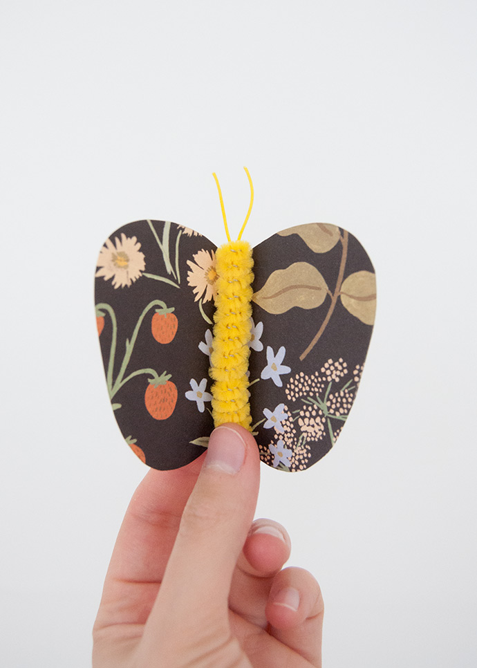 Schrottbutterfliegen