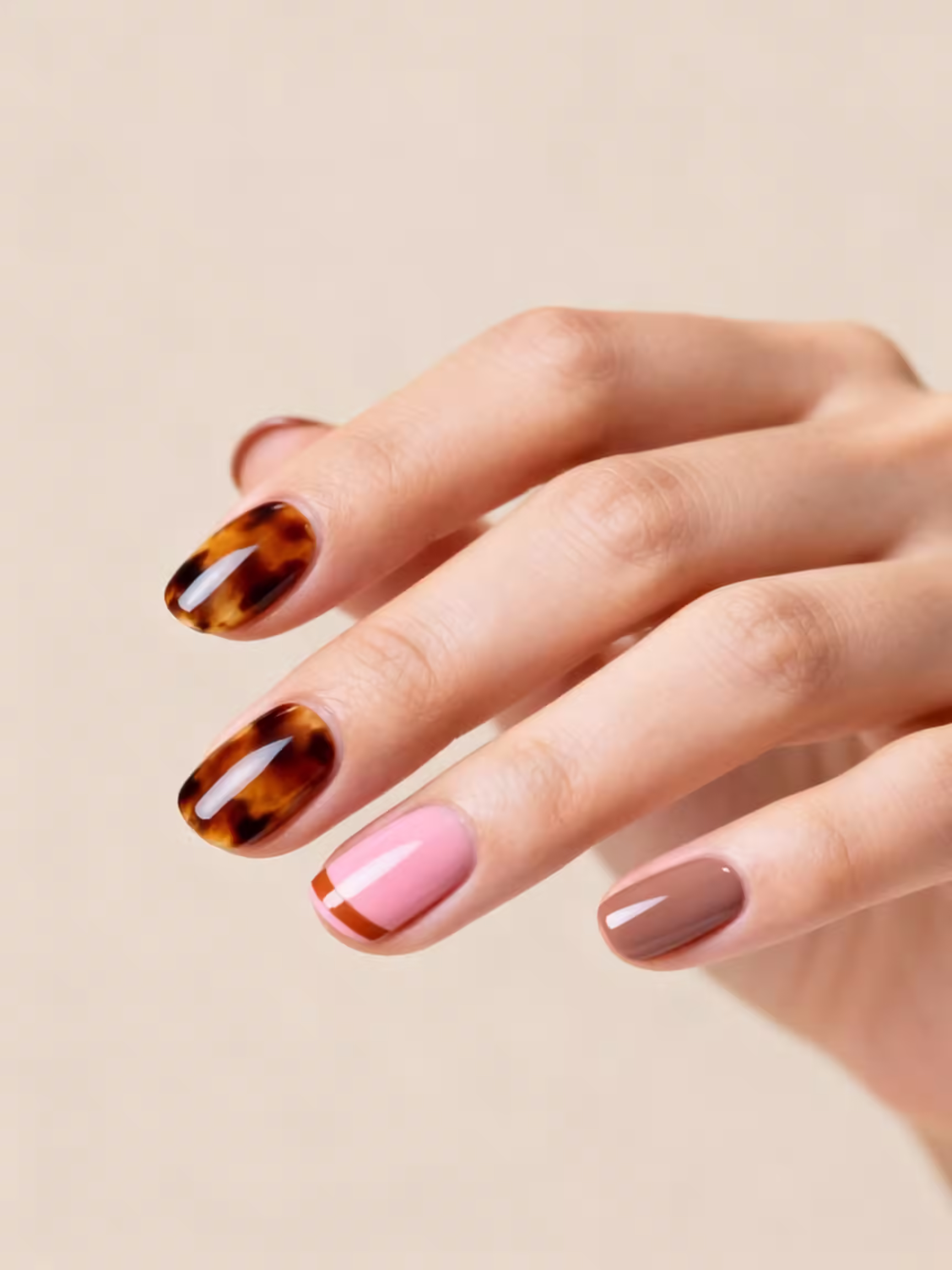 warme, glänzende Schildpatt-Akzente