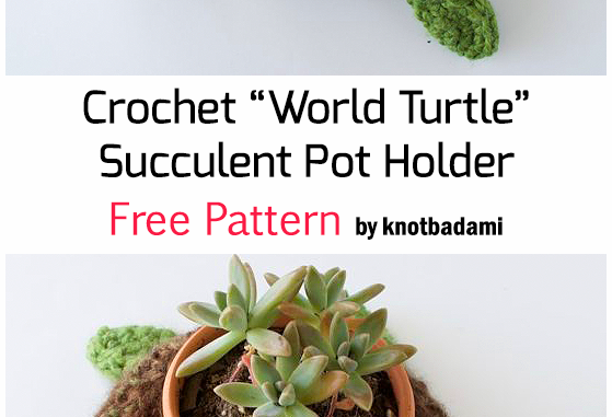 Häkeln „World Turtle“ Sukkulenter Topfhalter - Freies Muster